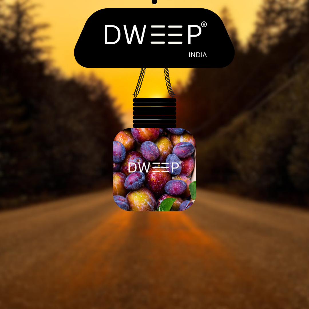 Dweep India Black Amber Luxury Car Perfume